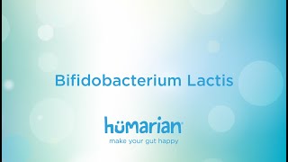 Bifidobacterium Lactis [upl. by Atilegna]