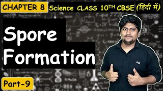 Part9 Spore Formation in Rhizopus  Reproduction  Class 10th CBSE [upl. by Aufmann]