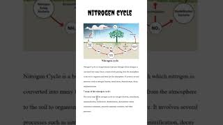 Nitrogen cycle  NCERT [upl. by Ylirama283]