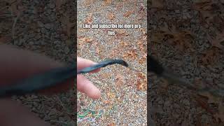 Another Pro Tip 👍homestead wiring electrical trailer automobile professional protips [upl. by Alanah]