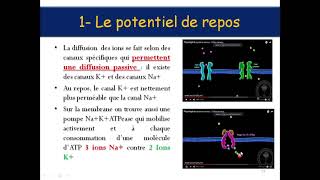 Physiologie des éléments excitables et communications intercellulaires [upl. by Elleirda655]