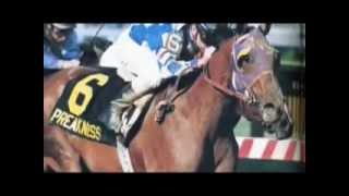 Alysheba Americas Horse [upl. by Fevre]