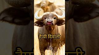 Happy dipawali trending video\bolane wali bhains कार्टून वीडियो buffalovideo trending shortfeed [upl. by Sol]