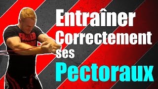 MUSCULATION  Comment entrainer correctement ses Pectoraux [upl. by Range525]