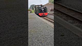 No7 arriving at Capel Bangor shortsvideo [upl. by Adian]