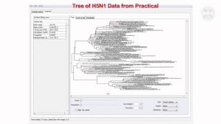 2 Phylogenetics amp Phylogeographylecturepart 2 [upl. by Ahsienal]