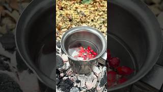 Rosehip Tea For Cold Winter asmr cooking outdoors food [upl. by Norod]