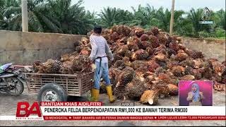 BANTUAN KHAS AIDILFITRI PENEROKA FELDA BERPENDAPATAN RM1000 KE BAWAH TERIMA RM300 [upl. by Airehtfele937]