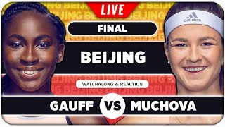 GAUFF vs MUCHOVA • WTA Beijing 2024 Final • LIVE Tennis Watchalong Stream [upl. by Aleihs]