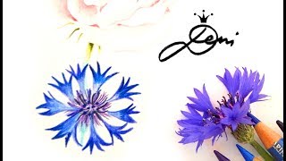 Kornblume zeichnen 💙🌸 blaue Blume malen 💦 How to Draw a Blue Flower 💙 как се рисува синчец цвете [upl. by Mill]