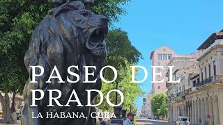 Paseo del Prado La Habana Cuba 2024 4K [upl. by Loziram581]