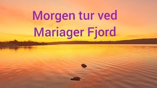 Fjord ørred ved Mariager Fjord [upl. by Aliuqat649]