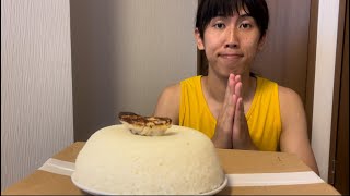 お米5合を餃子1個で食う男 〜A man eats 5 cups of rice with one gyoza〜 [upl. by Riane]