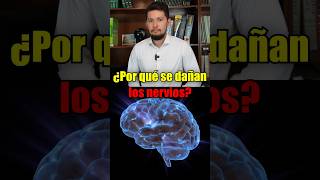 ¿Por qué se DAÑAN los NERVIOS nervios neuropatia salud [upl. by Svetlana]