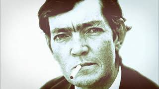 GRAFFITI  Julio Cortázar [upl. by Nnoved]