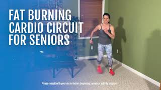 Fat Burning Cardio Circuit for Seniors  SilverSneakers [upl. by Adnole]