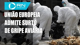 União Europeia admite surto de gripe aviária [upl. by Lotta123]