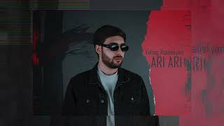 Vahag Atabekyan  Ari Ari  Official Audio [upl. by Eatnom236]