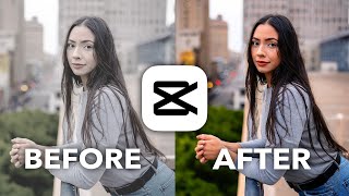 CapCut Color Grading 101 Tutorial [upl. by Ronoel]