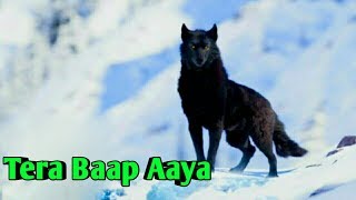 Tera Baap Aaya  Knock Knock Tera Baap Aaya  Full Song 2020 [upl. by Yrret616]