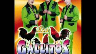 Los Gallitos De Chihuahua  Basta Ya [upl. by Martine]