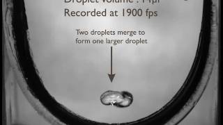 Water Droplet Bouncing on a Superhydrophobic Carbon Nanotube Array [upl. by Lavud]