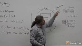 Machine Intelligence  Lecture 18 Evolutionary Algorithms [upl. by Azrim]