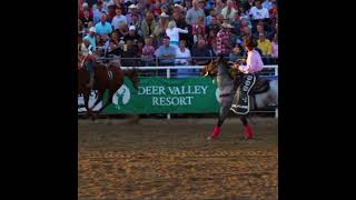 8 second bareback bronc riding buckaroo stuck like glue shorts [upl. by Notsirk]