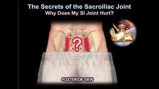 sacroiliac Joint pain why it Hurts  Everything You Need To Know  Dr Nabil Ebraheim [upl. by Meela]