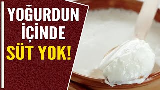 YOĞURDUN İÇİNDE SÜT YOK [upl. by Ahseid184]