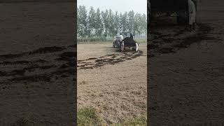 viralvideo tractor farming [upl. by Anasus]