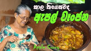 ඇපල් වෑංජන අත්තමමයි මමයි  Apple curry Grandmaamp me  Apple Wanjana aththammai mamai [upl. by Anabella602]