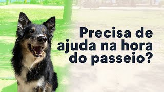 Dificuldades para passear com cachorro Confira dicas  Petz TV Comportamento [upl. by Glorianna]