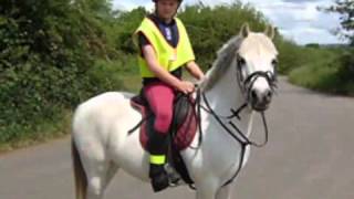 Riding Schools  Normanby Park Riding School [upl. by Annawoj81]