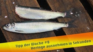 Tipp der Woche 8 Heringe ausnehmen in Sekunden [upl. by Chrysa]