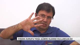 FINDIK ZURUF  Mesleki Çalışma [upl. by Ahsym]