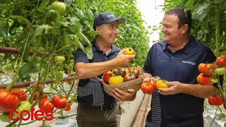 Heirloom Tomatoes teaser  Great lengths for quality  Coles [upl. by Edualcnaej681]