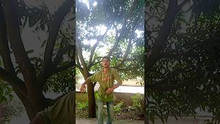 Garhwali song samlonya selfie gadwalisong [upl. by Fonz574]