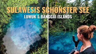 GEHEIMTIPP SULAWESI • Luwuk amp Banggai Islands Indonesien  Weltreise Vlog 33 [upl. by Hamnet]