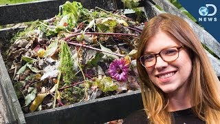 How To Start Your Own Compost [upl. by Marchall]