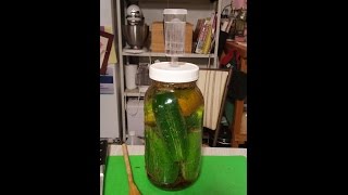 Fermentation of Cucumbers Quick Tip [upl. by Niro37]