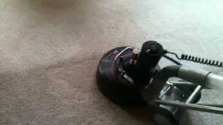 Lintons Carpet Cleaning using the Amazing Rotovac 360i [upl. by Akemej]