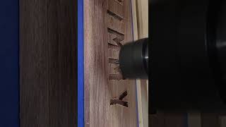 CNC cutting inlay pocket for custom fretboard inlay customguitar cncwoodworking [upl. by Maris]