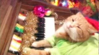 Keyboard Cat Plays quotJingle Bellsquot [upl. by Olnek]