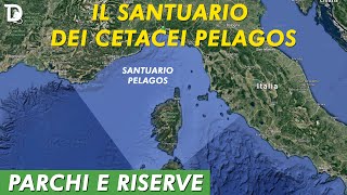 IL SANTUARIO DEI CETACEI PELAGOS  🏞️ 𝐏𝐚𝐫𝐜𝐡𝐢 𝐞 𝐑𝐢𝐬𝐞𝐫𝐯𝐞  📺 𝟷𝚡𝟶𝟽 [upl. by Toddie14]