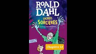 14 Sacrées Sorcières de Roald Dahl chapitre 14 livre audio [upl. by Sirtimed259]