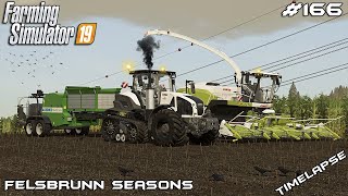 Baling MAIZE with AGRONIC Baler  Animals on Felsbrunn Seasons  Farming Simulator 19  Episode 166 [upl. by Aztiley]