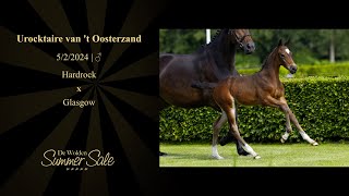 Urocktaire van t Oosterzand [upl. by Novehs436]