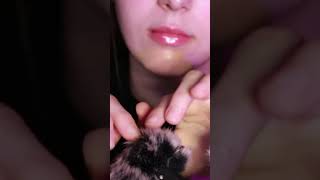 Fluffy Mic Touching Left Ear asmr relax tingly asmrcamera mictouching notalking [upl. by Solomon]