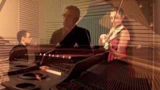 Carol of the bells grand piano and electric violin  DuoCaprices [upl. by Aneekan]